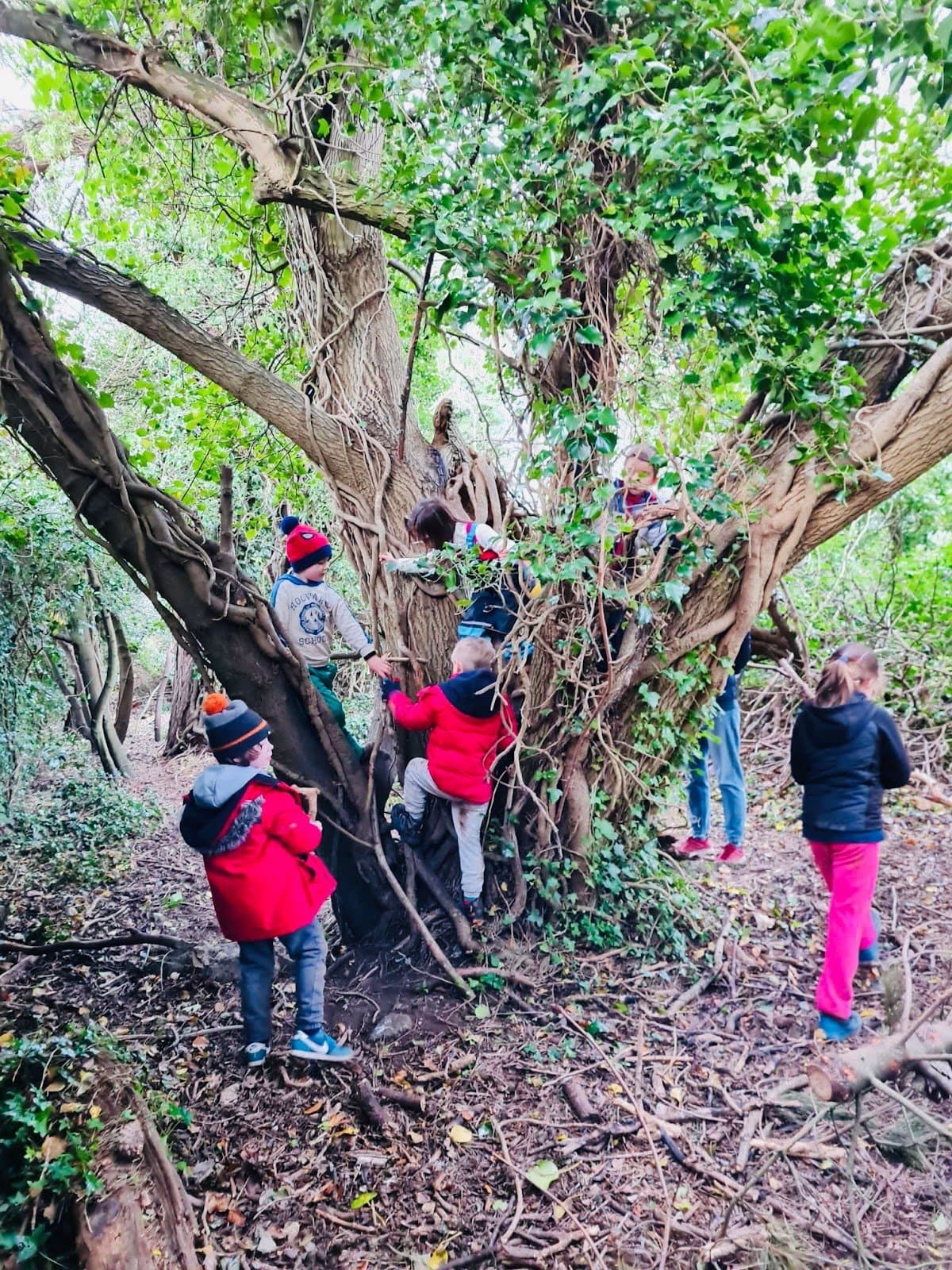 Sense of Wonder Forest School - Atmosphere