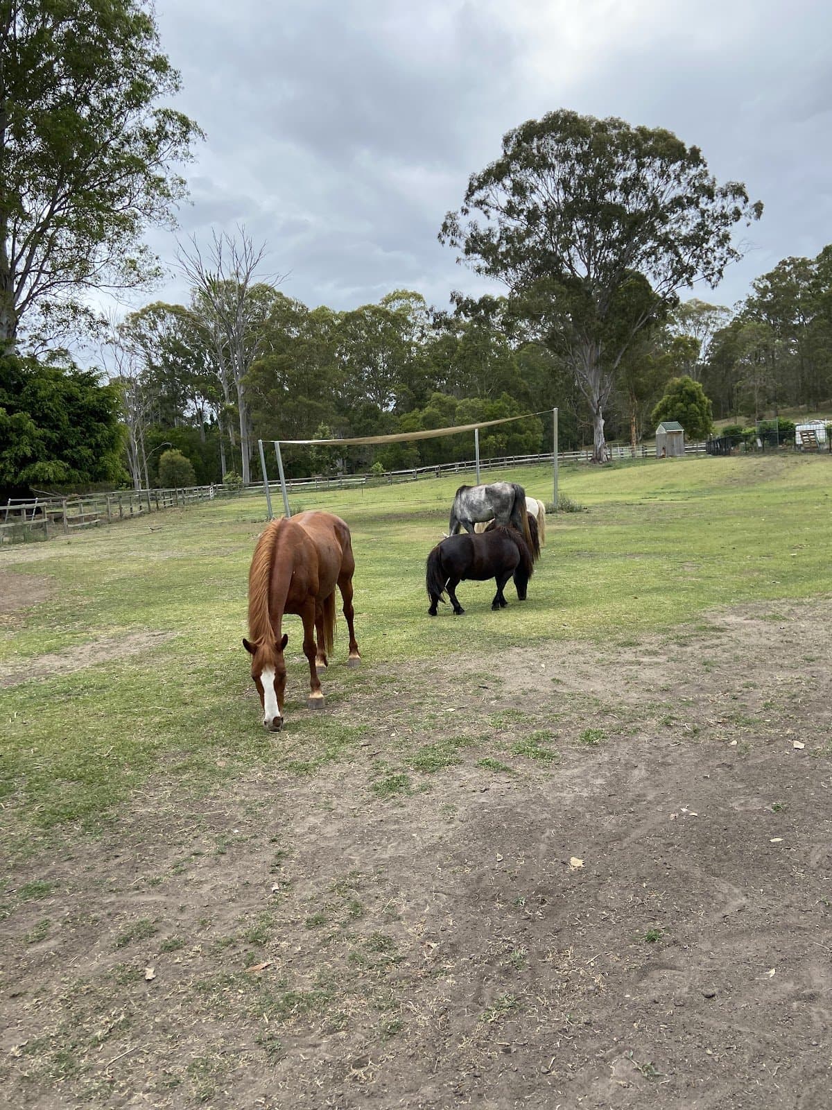 Sensory Garden & Play - Activity
