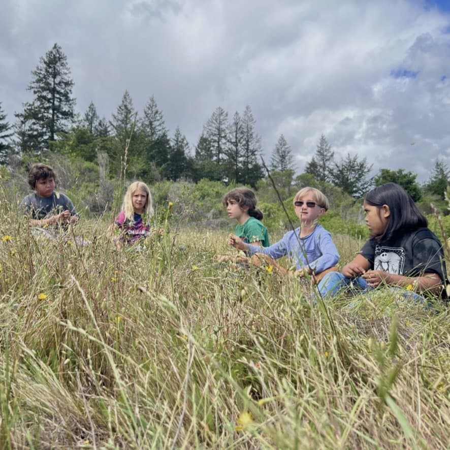 Sonoma Earth School - Activity