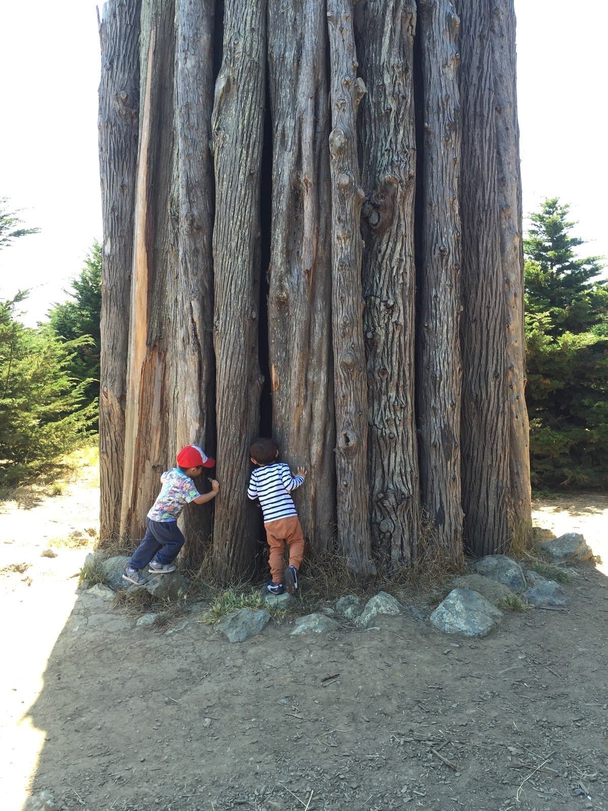 Spire School - Hero/Card