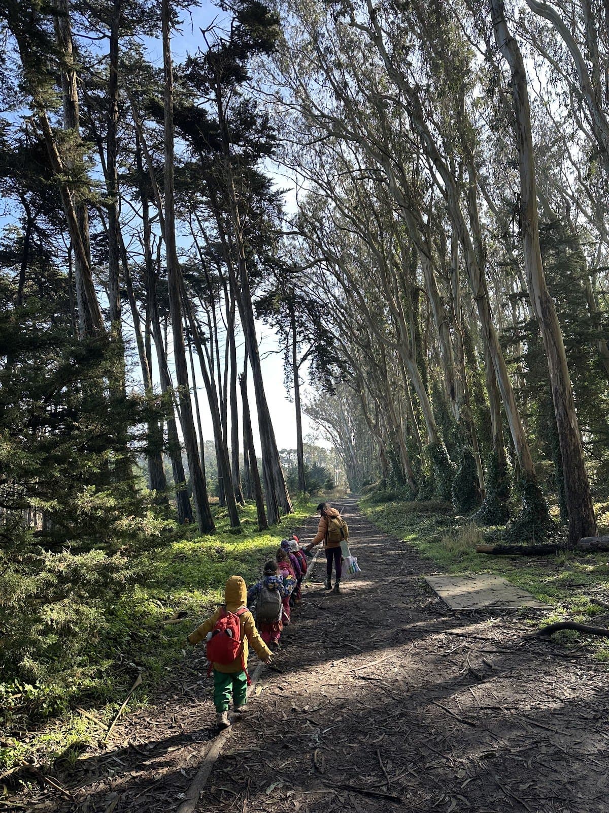 Spire School - Atmosphere