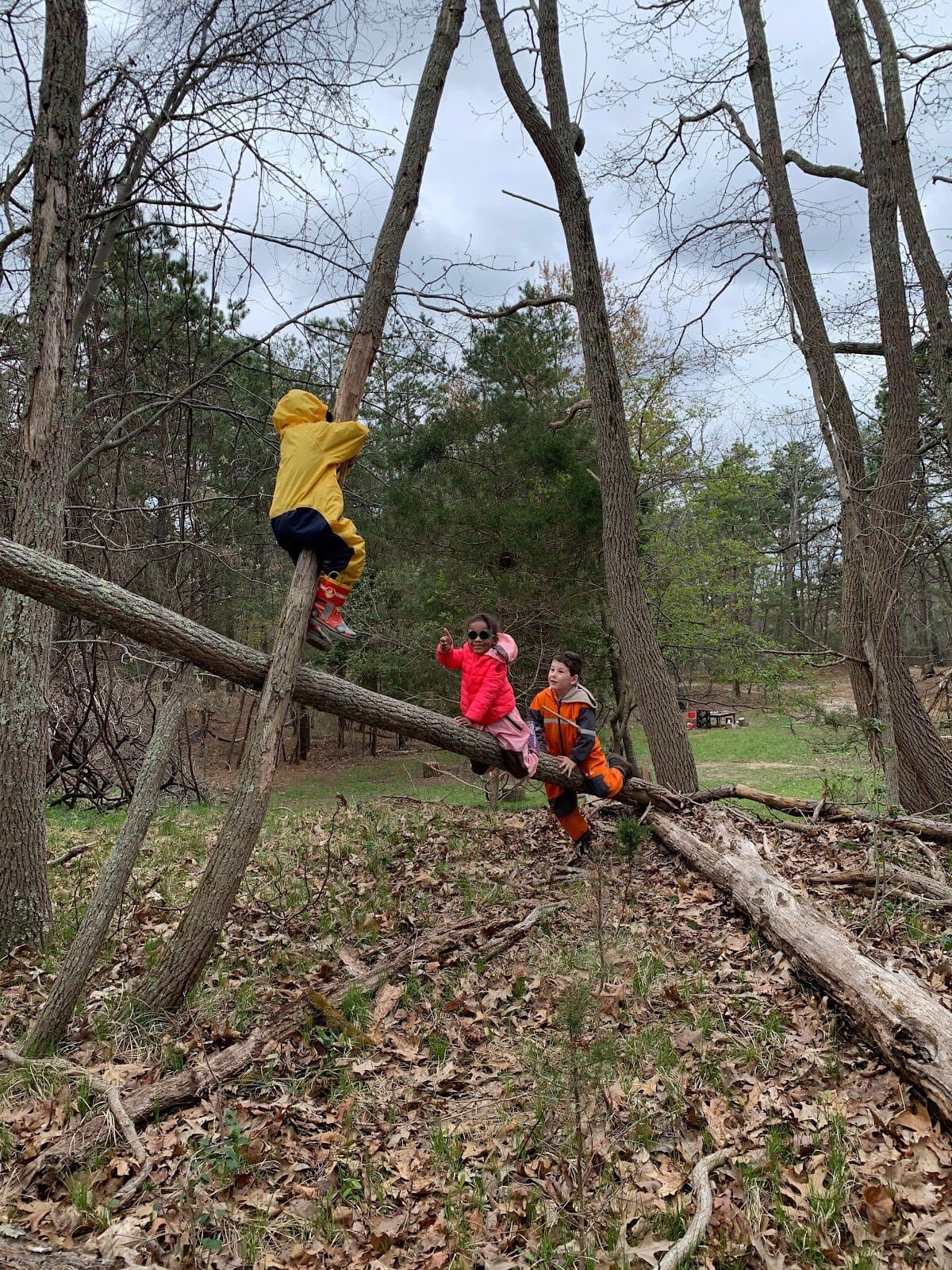 Star Child Nature School - Activity