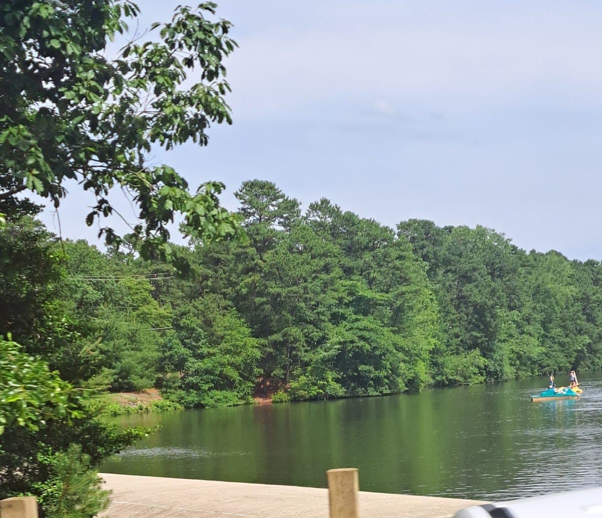 Star Child Nature School - Atmosphere