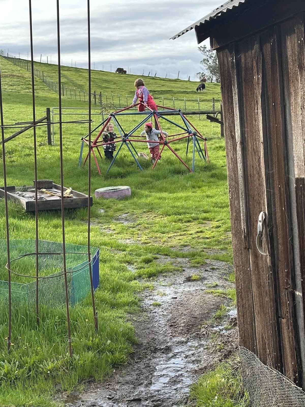 Sunbeam Nature School - Activity