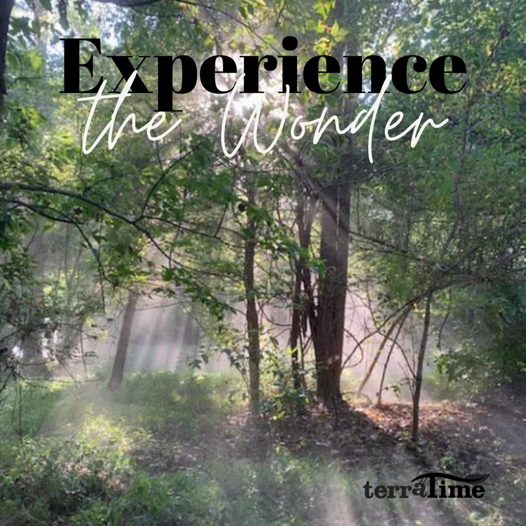 TerraTime - Atmosphere