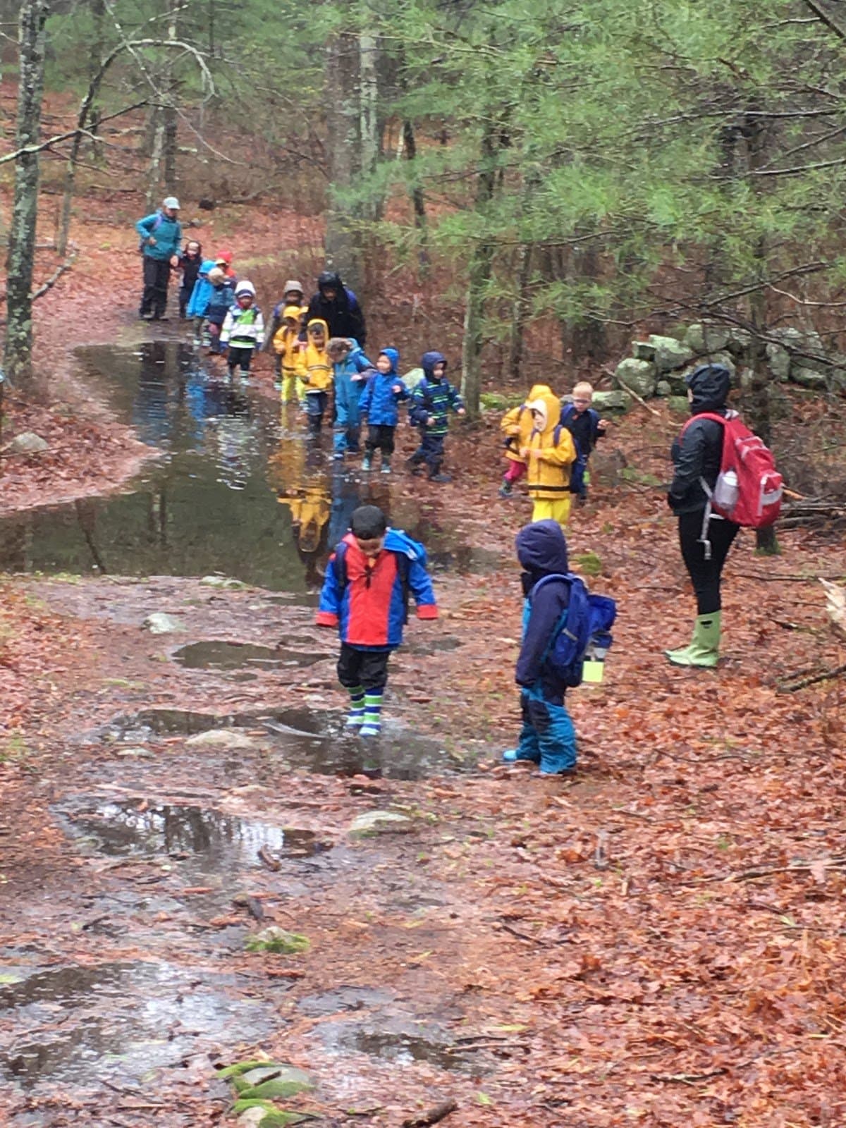 The Cooperative Nature School - Activity
