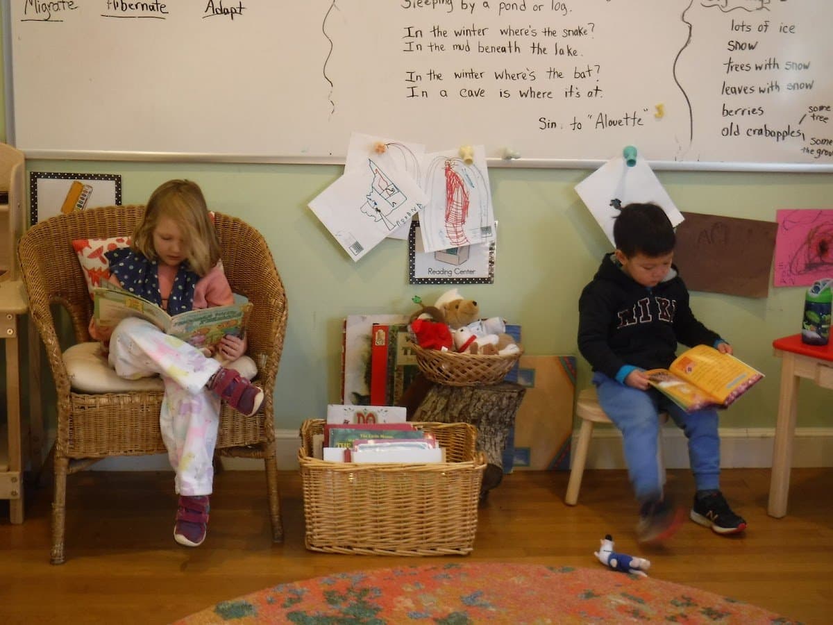 The Cooperative Nature School - Atmosphere