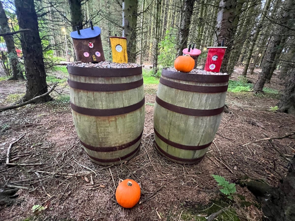 The Fairy Woods at Fedderate - Hero/Card