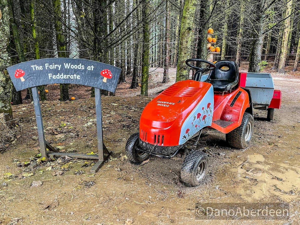 The Fairy Woods at Fedderate - Activity