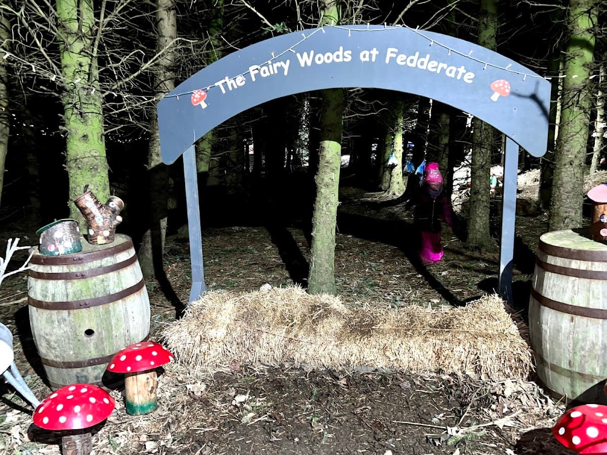 The Fairy Woods at Fedderate - Atmosphere