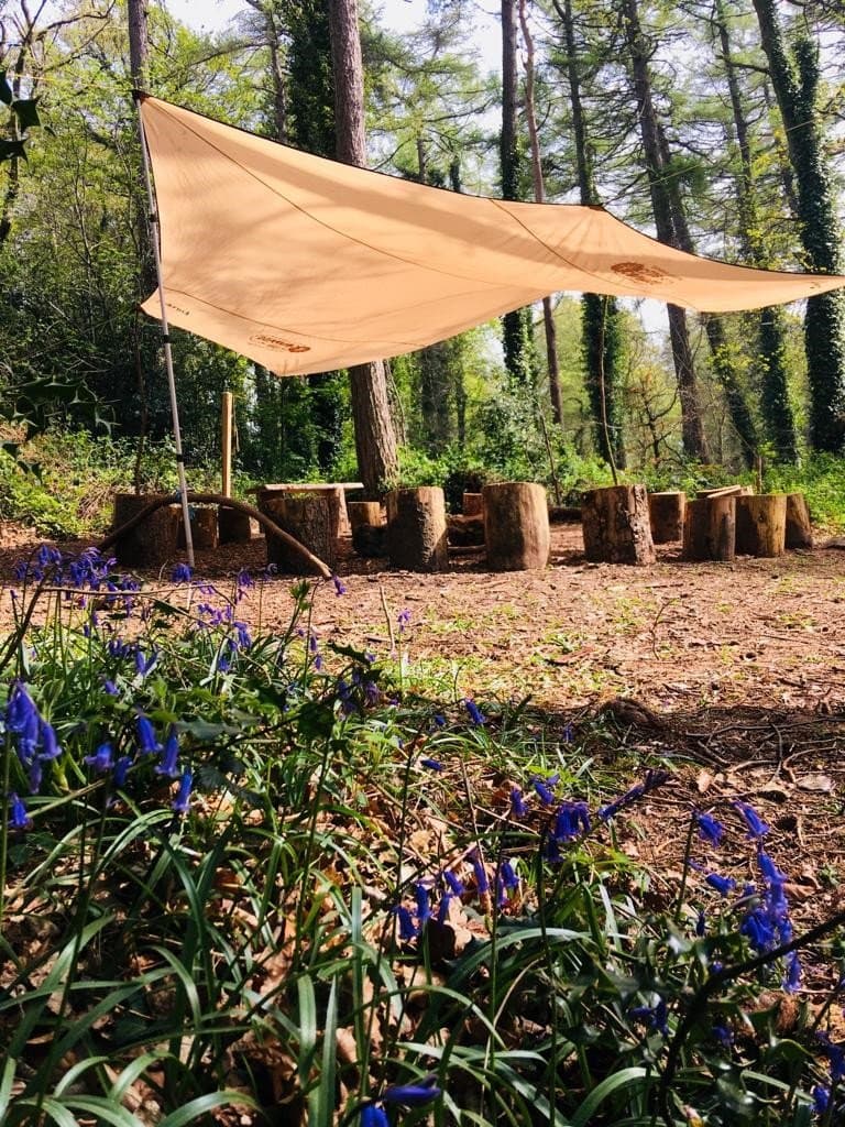 The Forest Club