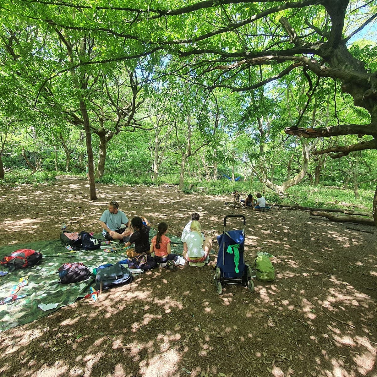 The Forest School Way - Activity