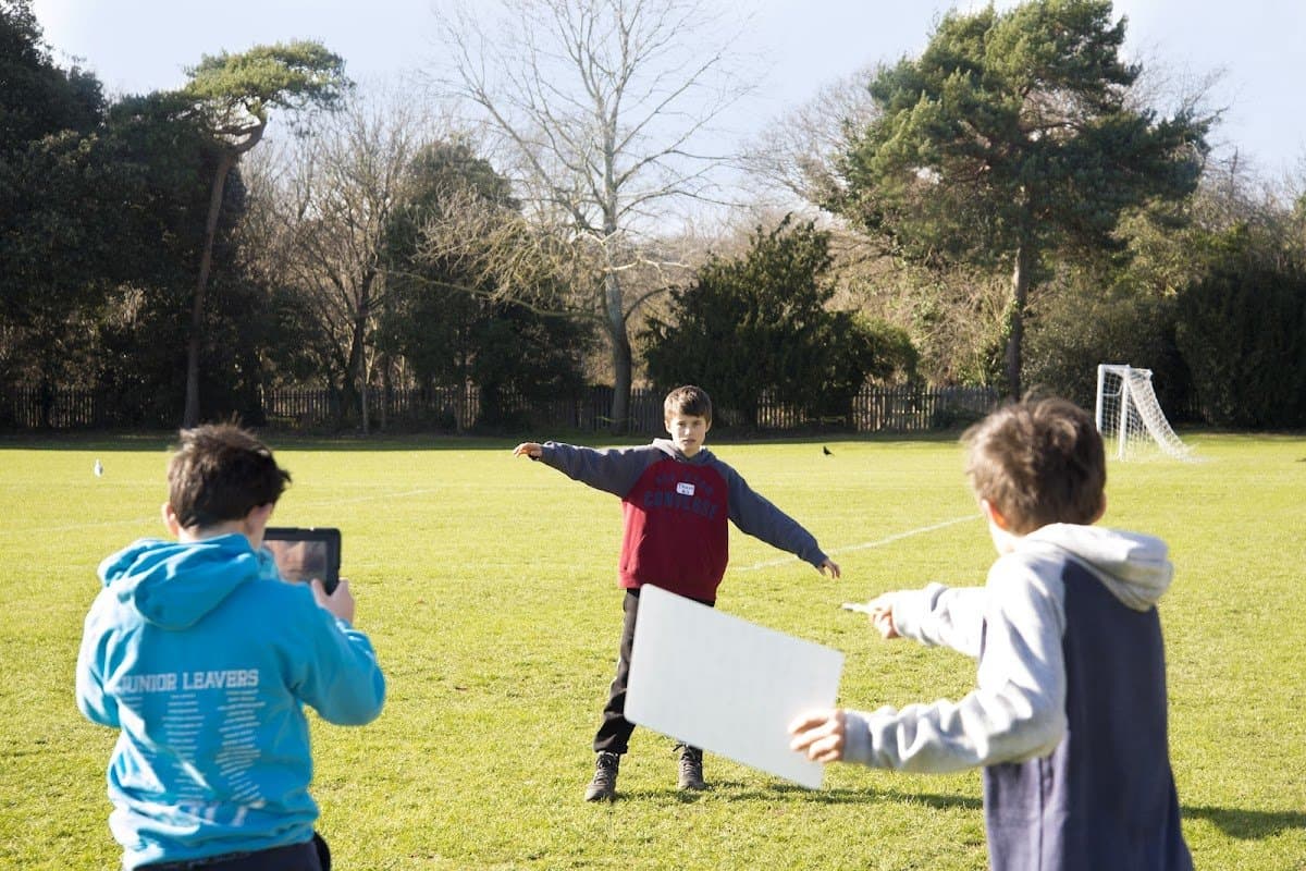 The Hive Kids - Activity