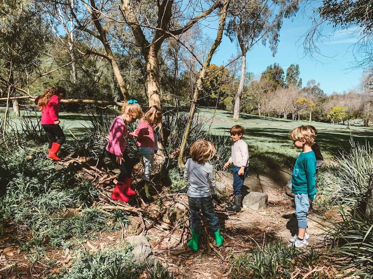 The Native School - Hero/Card