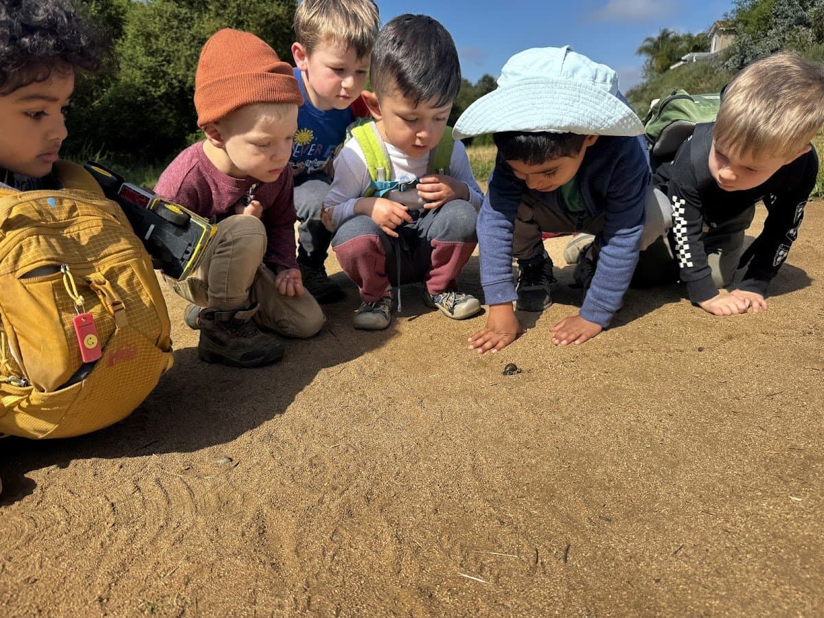 The Native School - Activity