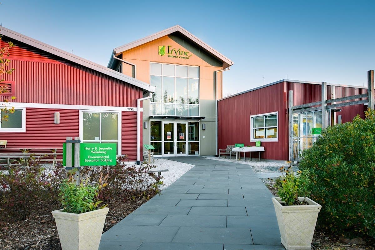 The Nature Preschool - Activity