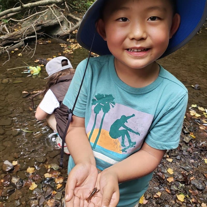 The Nature School - Atmosphere