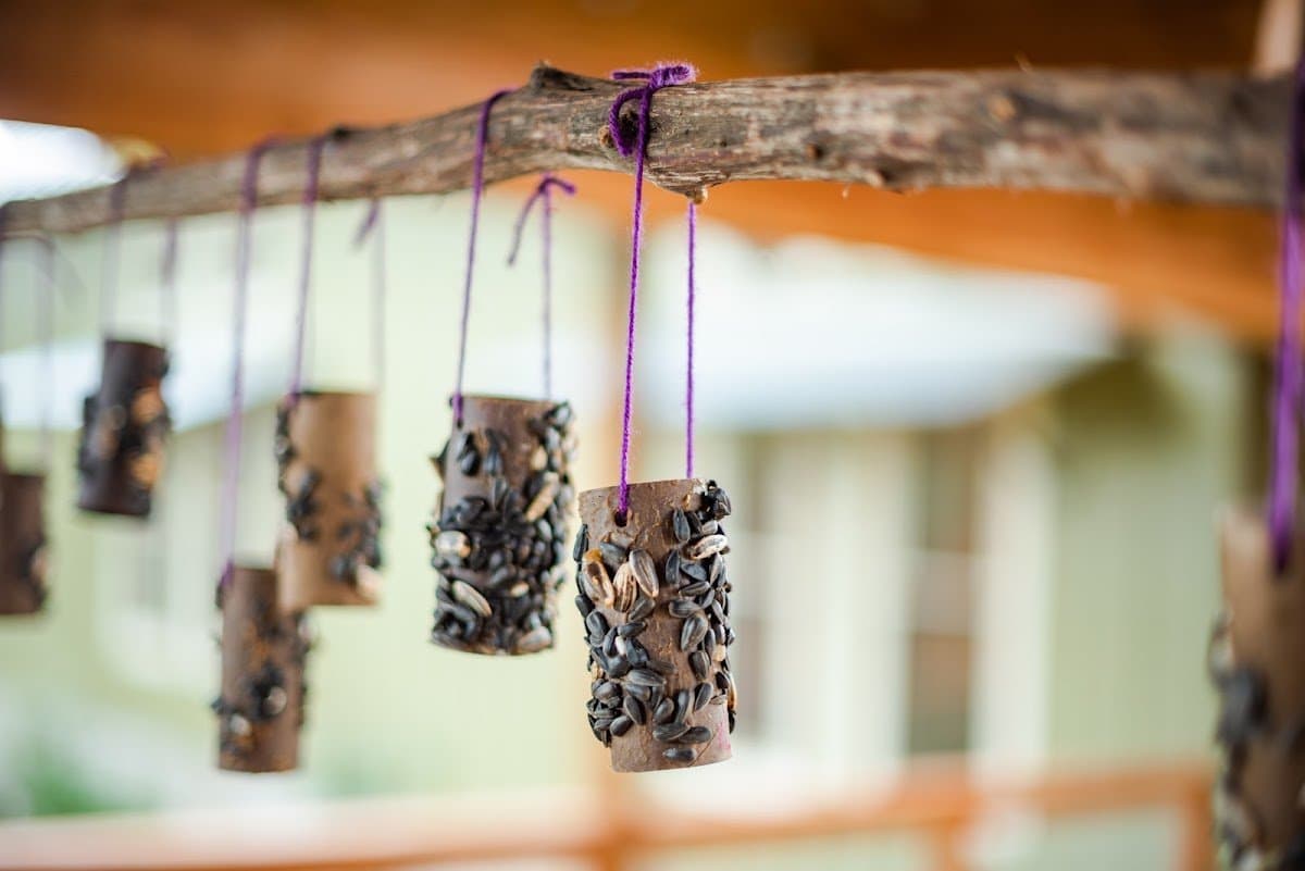 The Nest Nature School - Activity