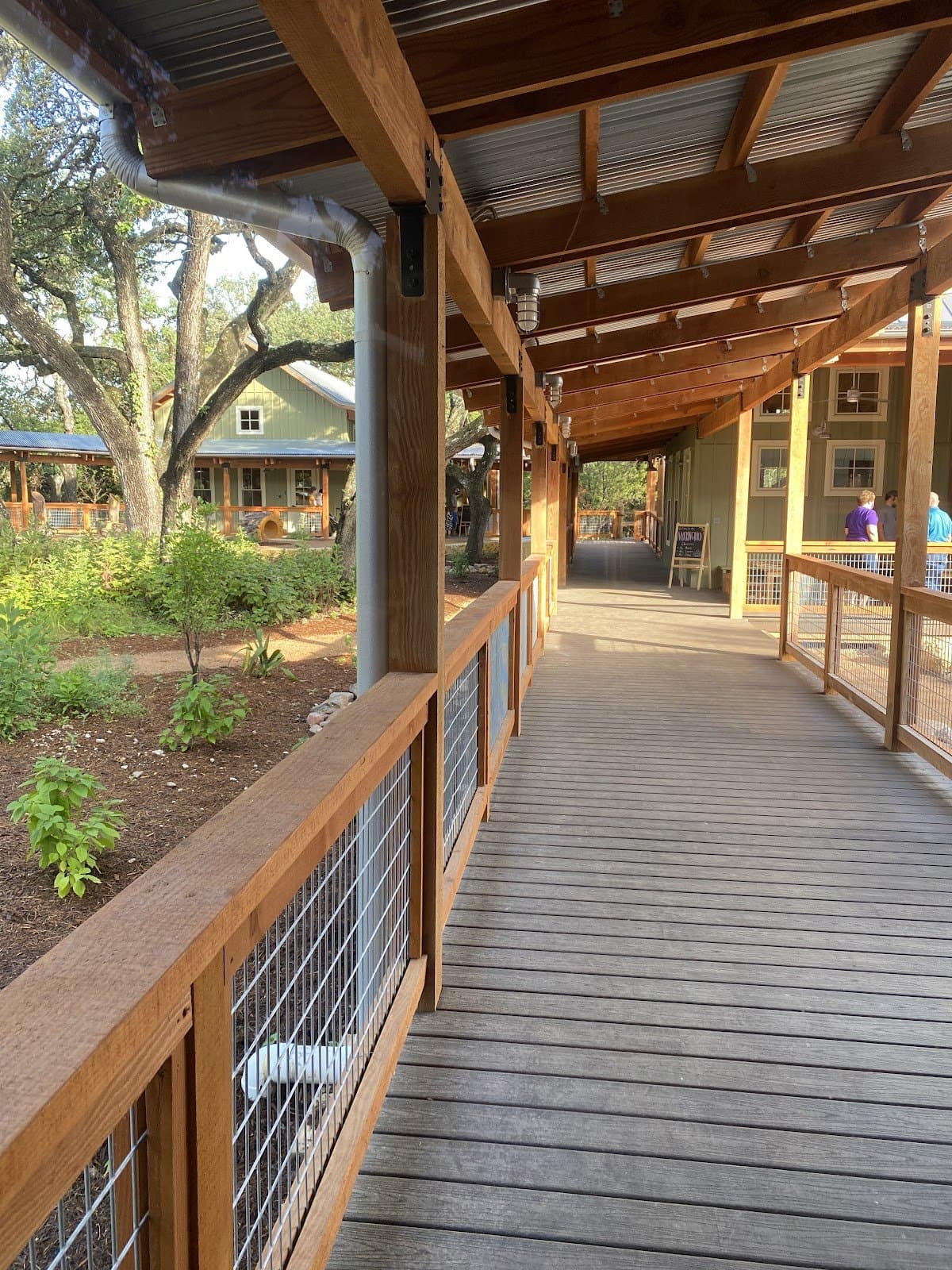 The Nest Nature School - Atmosphere