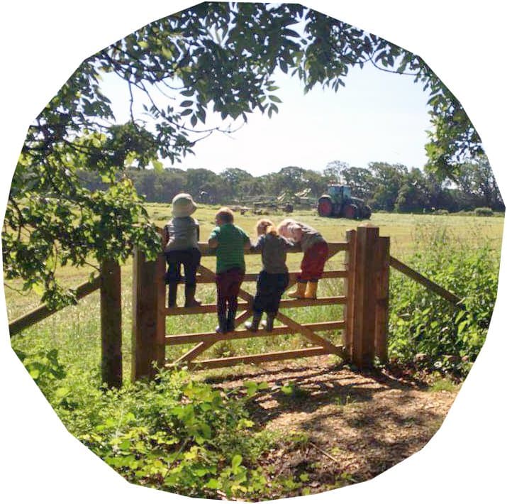 The Outdoor Learning Company - Activity