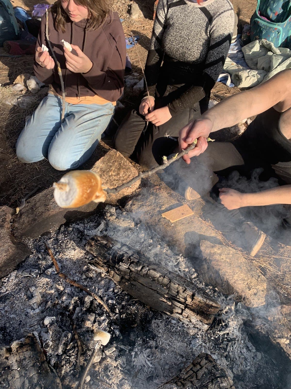 The Wild Ones Forest School - Activity