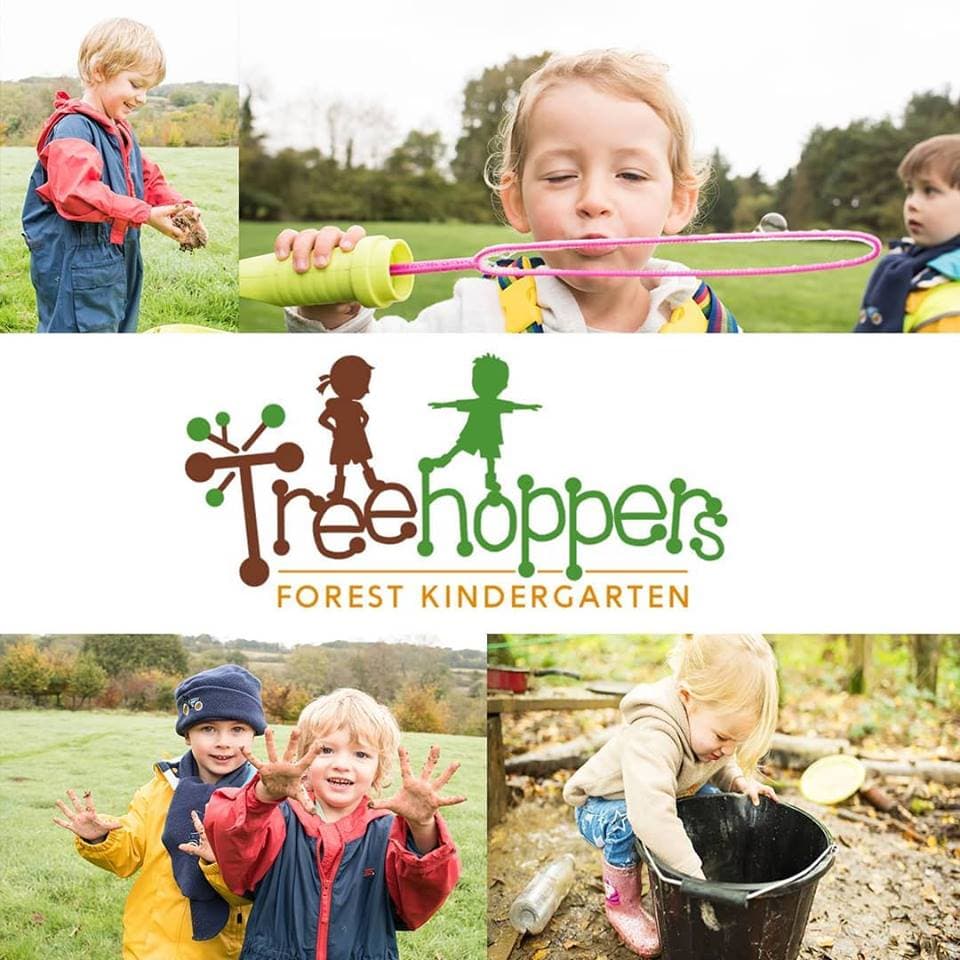 Treehoppers Forest Kindergarten - Activity