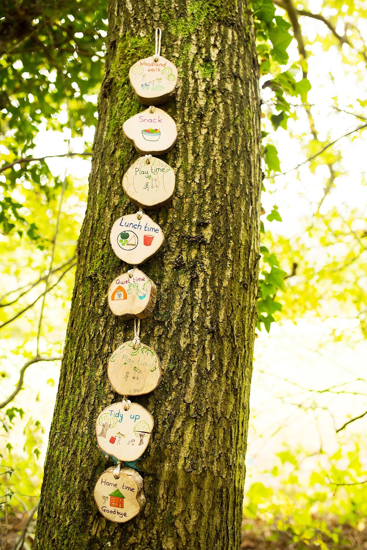 Treehoppers Forest Kindergarten - Atmosphere