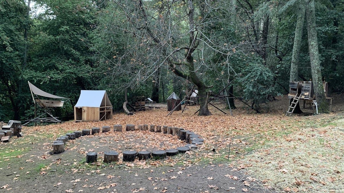 Tribal Wisdom Academy - Atmosphere