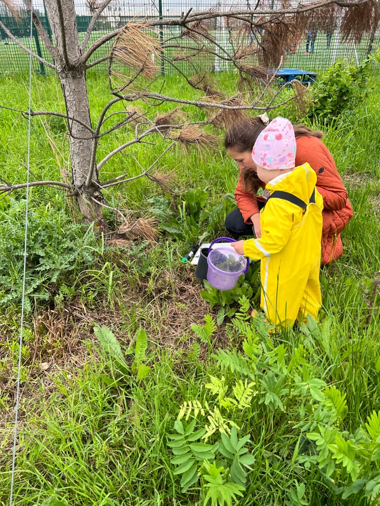 Wander Wild Forest School - Atmosphere
