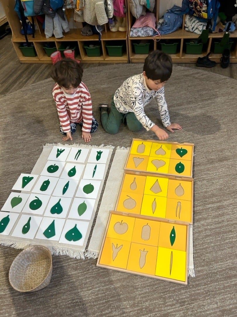 wBees Forest School - Atmosphere