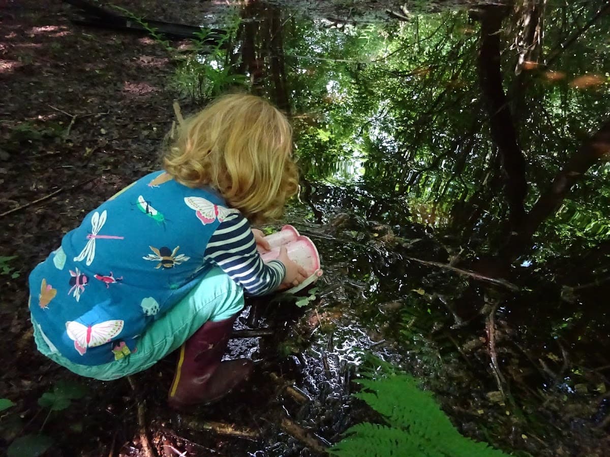 Wheatfen Forest School - Hero/Card