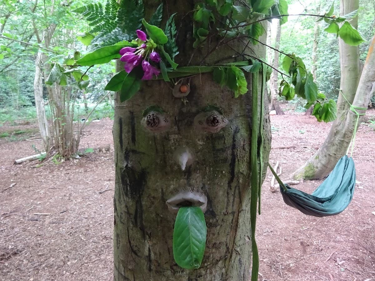 Wheatfen Forest School - Activity