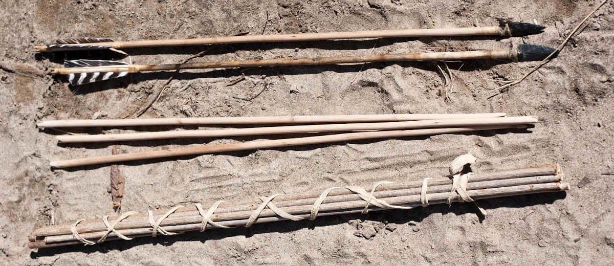 White Pine Wilderness Academy - Atmosphere