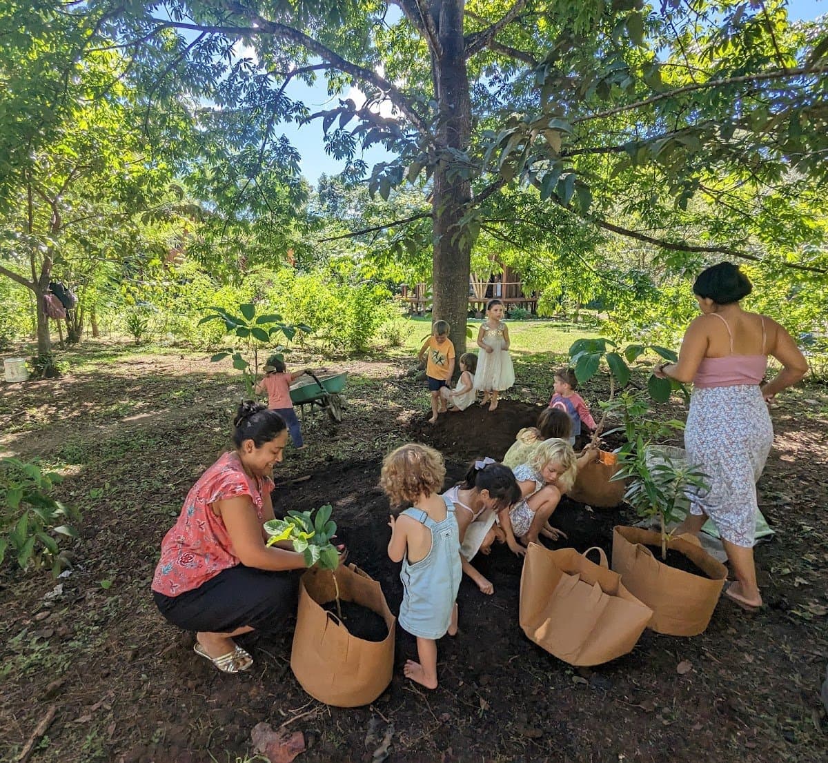 Wild Child Playgarden & Wildschooling - Hero/Card