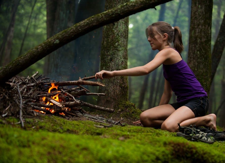 Wild Earth - Atmosphere