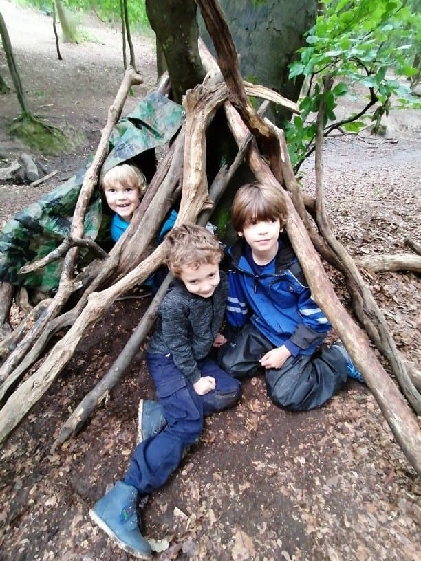 Wild Learning - Activity