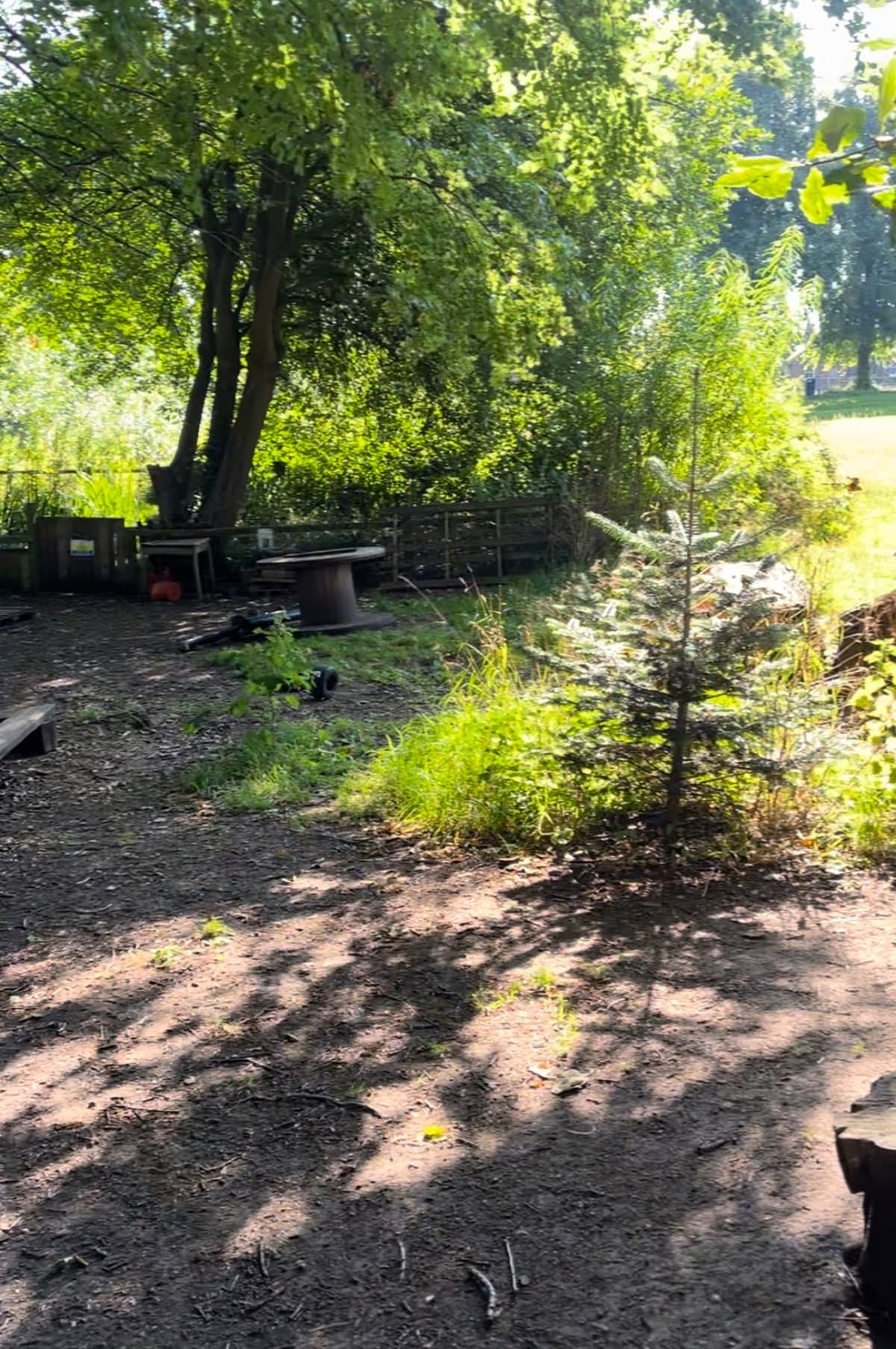 Wild Things Forest School - website image