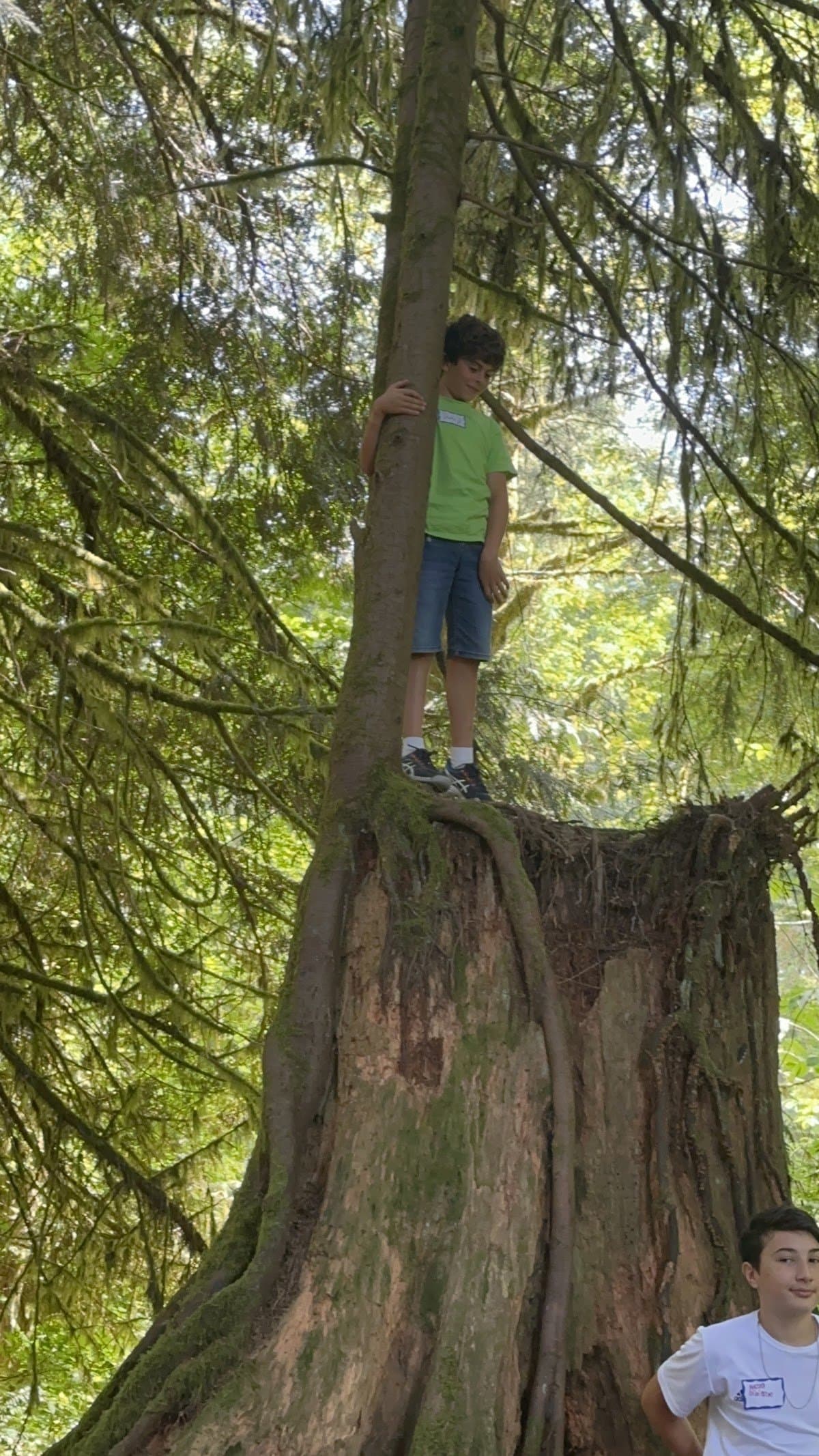 Wilderness Awareness School - Atmosphere