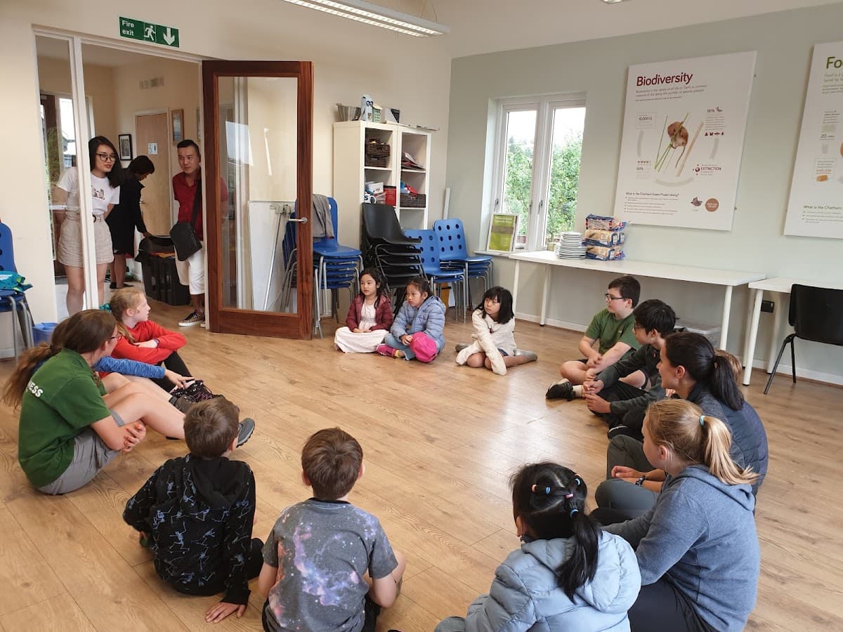 Wilderness Forest School - Atmosphere