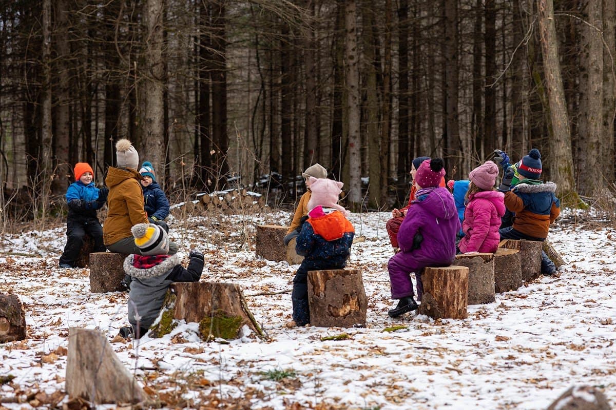 Wildflower Forest And Nature School - Activity