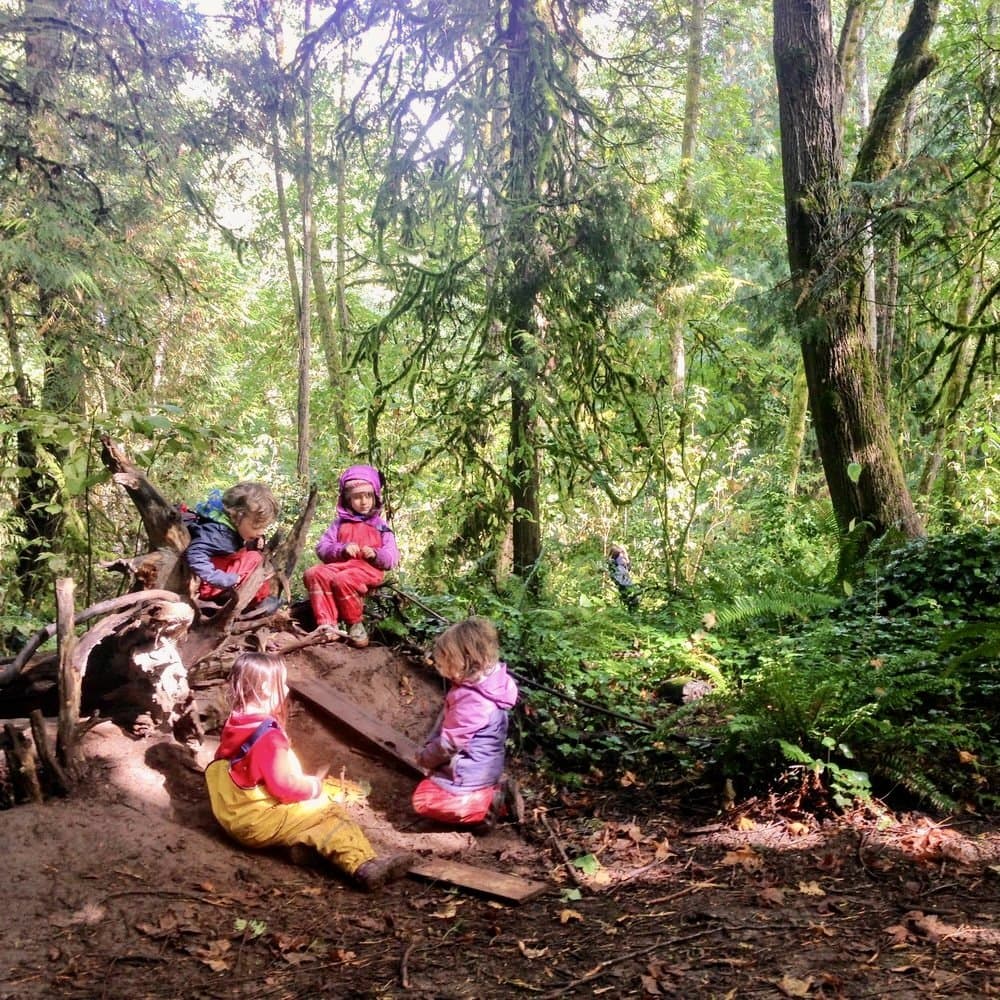 Willow Creek Forest School - Activity