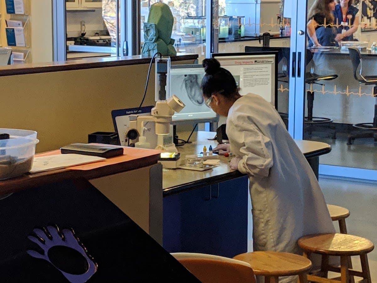 Worldmind Education - Atmosphere